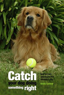 Catch Your Dog Doing Something Right Catch Your Dog Doing Something Right