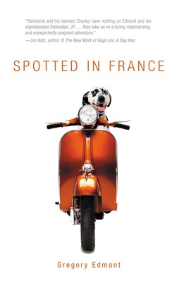 Spotted in France Spotted in France