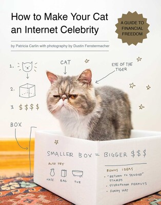 How to Make Your Cat an Internet Celebrity How to Make Your Cat an Internet Celebrity