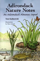 Adirondack Nature Notes Adirondack Nature Notes