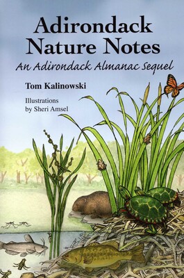 Adirondack Nature Notes