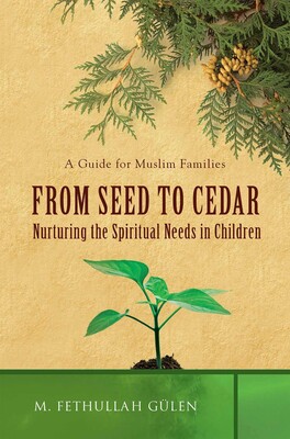 From Seed to Cedar From Seed to Cedar