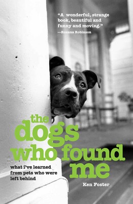 The Dogs Who Found Me The Dogs Who Found Me