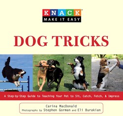 Knack Dog Tricks Knack Dog Tricks