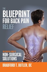The Blueprint For Back Pain Relief