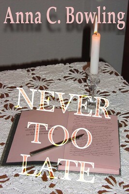 Never Too Late Never Too Late