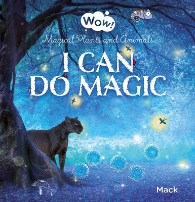 I Can Do Magic I Can Do Magic