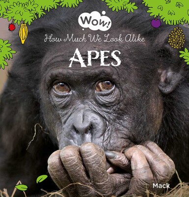 Apes Apes