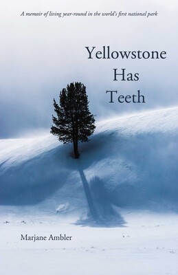 Yellowstone Has Teeth Yellowstone Has Teeth
