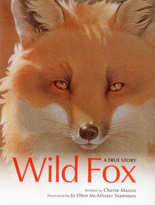 Wild Fox Wild Fox