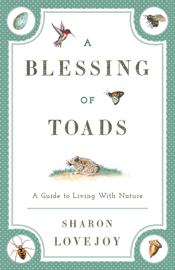 A Blessing of Toads Book by Sharon Lovejoy Official Publisher