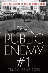 public-enemy-number-one-
