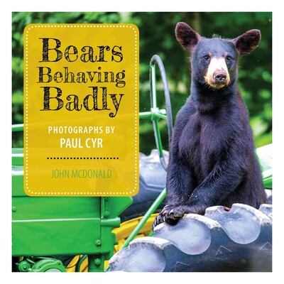 Bears Behaving Badly Bears Behaving Badly