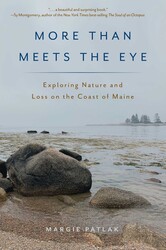 More Than Meets the Eye More Than Meets the Eye