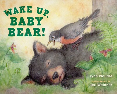 Wake Up, Baby Bear! Wake Up, Baby Bear!