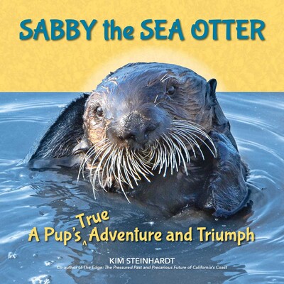 Sabby the Sea Otter Sabby the Sea Otter