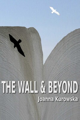 Wall & Beyond Wall & Beyond