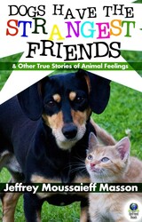 Dogs Have the Strangest Friends Dogs Have the Strangest Friends