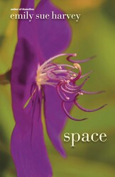 Space Space