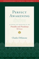 Perfect Awakening Perfect Awakening