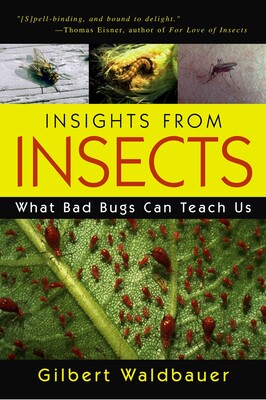 Insights From Insects Insights From Insects