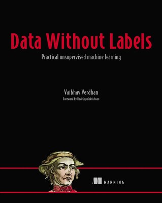 Data Without Labels Data Without Labels