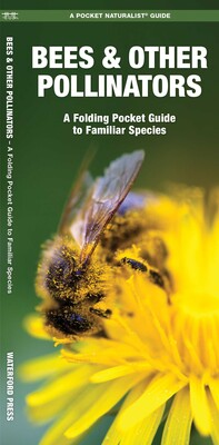 Bees & Other Pollinators Bees & Other Pollinators