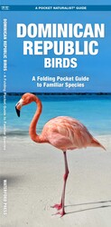 Dominican Republic Birds