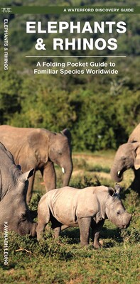 Elephants & Rhinos Elephants & Rhinos