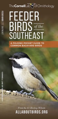 Feeder Birds of the Southeast Feeder Birds of the Southeast