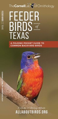 Feeder Birds of Texas Feeder Birds of Texas