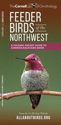 Feeder Birds of the Northwest