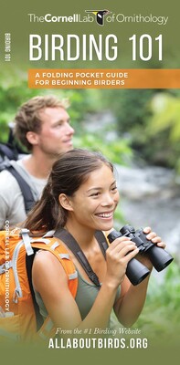 Birding 101 Birding 101