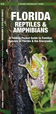 Florida Reptiles & Amphibians Florida Reptiles & Amphibians