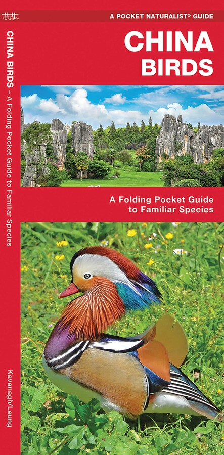 China Birds