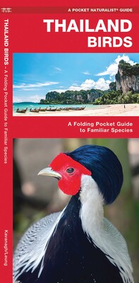 Thailand Birds Thailand Birds