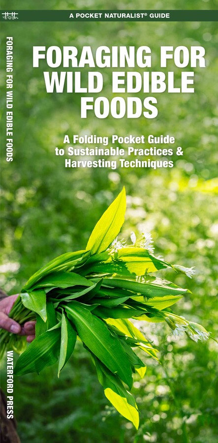 Foraging for Wild Edible Foods