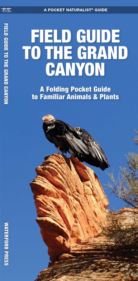 Grand Canyon, Field Guide to the, 2nd Ed