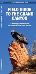 Grand Canyon, Field Guide to the Grand Canyon, Field Guide to the