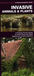Invasive Animals & Plants