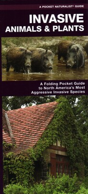 Invasive Animals & Plants Invasive Animals & Plants