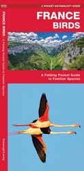 France Birds