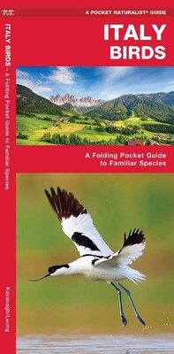 Italy Birds Italy Birds