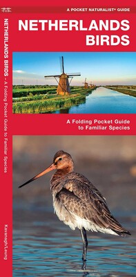 Netherlands Birds Netherlands Birds