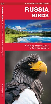 Russia Birds Russia Birds