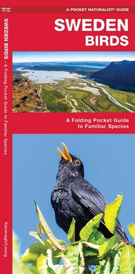 Sweden Birds Sweden Birds