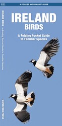 Ireland Birds Ireland Birds