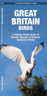 Great Britain Birds, 2nd Ed Great Britain Birds, 2nd Ed