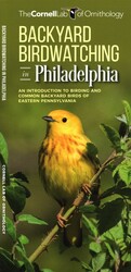 Backyard Birdwatching in Philadelphia