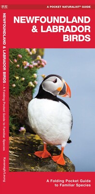 Newfoundland & Labrador Birds Newfoundland & Labrador Birds